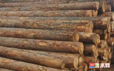 anywood.com