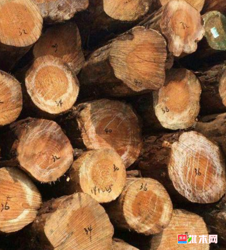 anywood.com