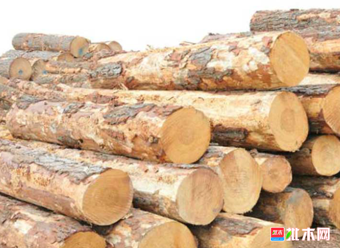 anywood.com