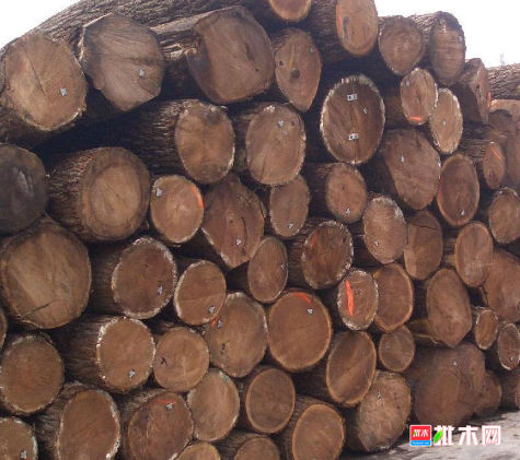 anywood.com