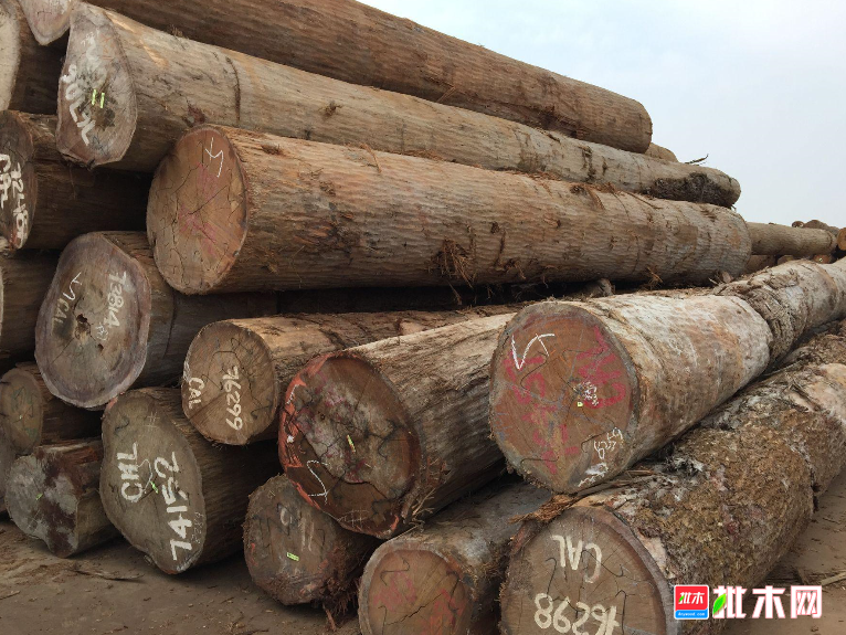anywood.com