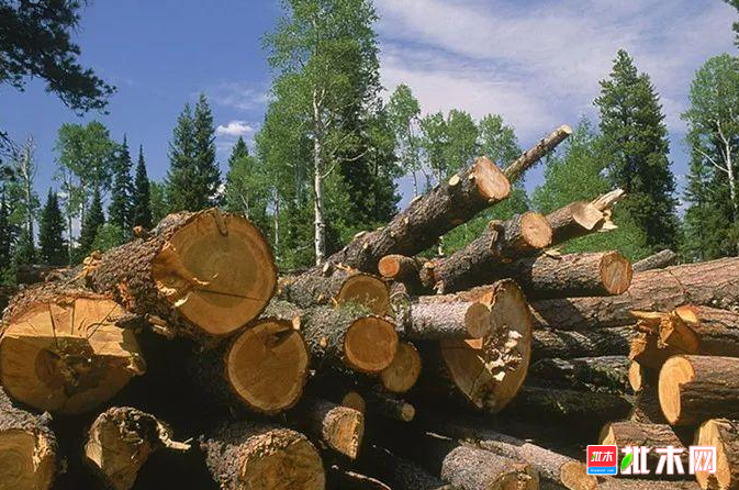 anywood.com