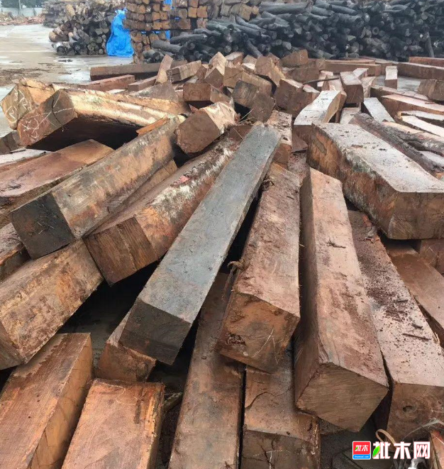 anywood.com