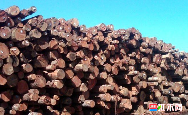 anywood.com