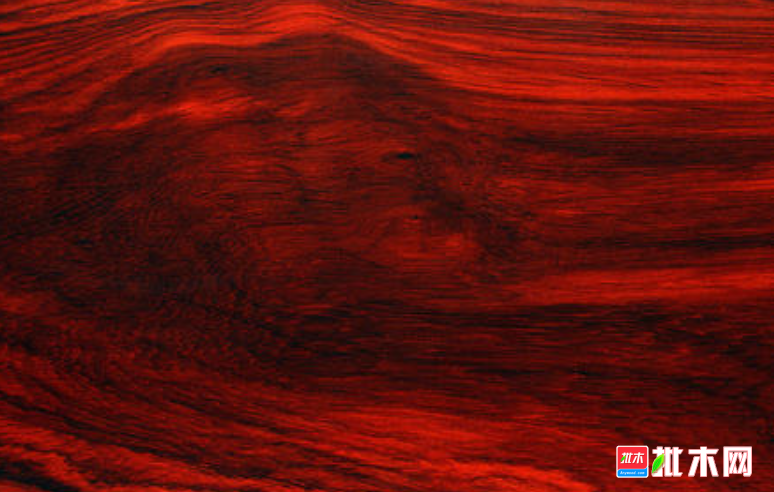 anywood.com