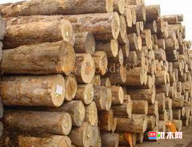 anywood.com