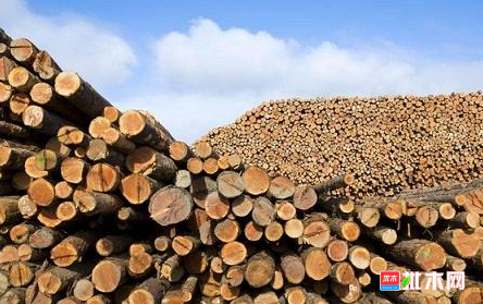 anywood.com