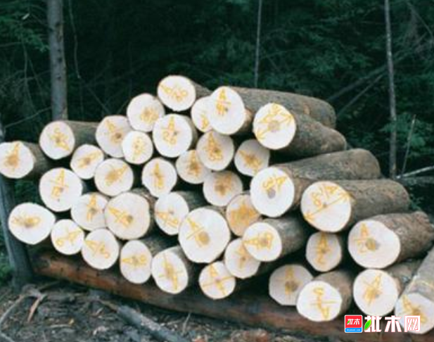 anywood.com