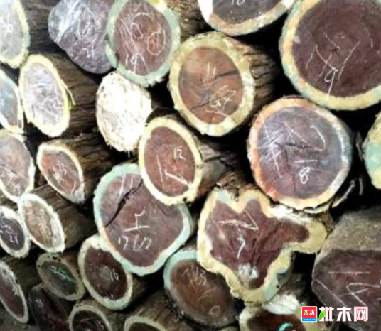 anywood.com