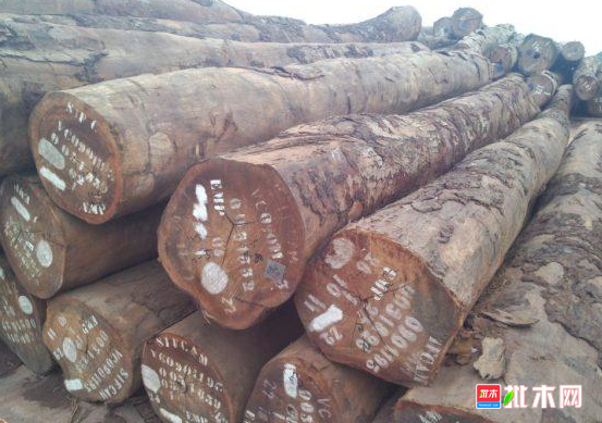 anywood.com