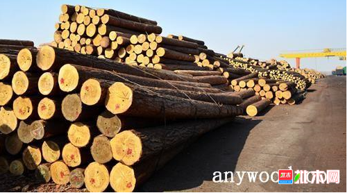 anywood.com