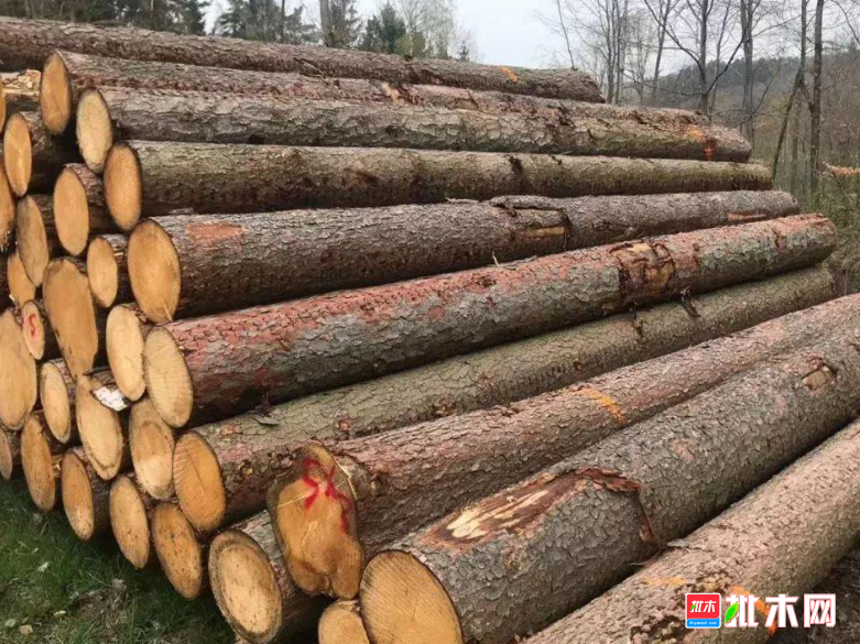 anywood.com