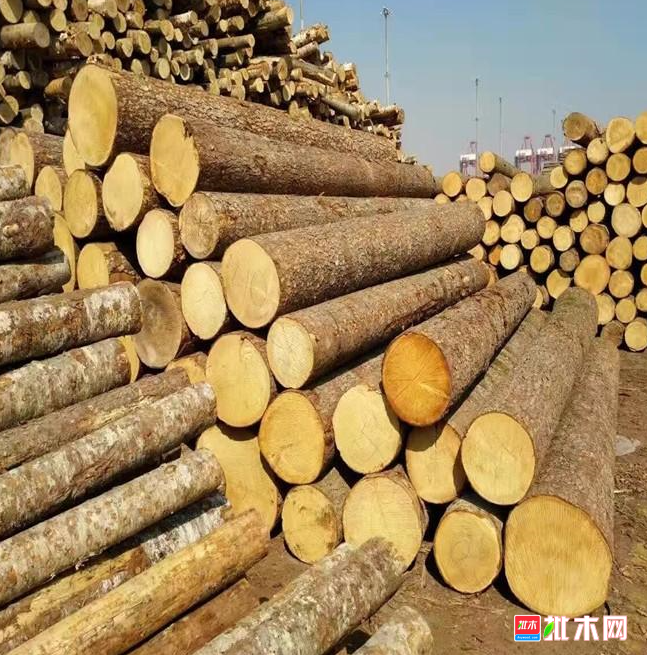 anywood.com