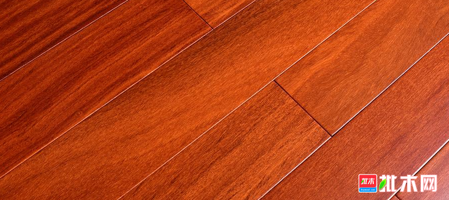 anywood.com