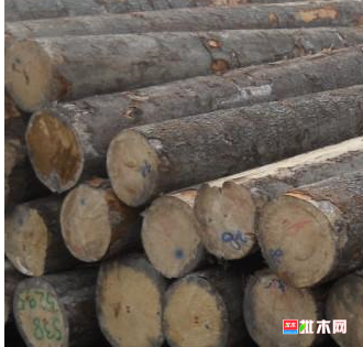 anywood.com