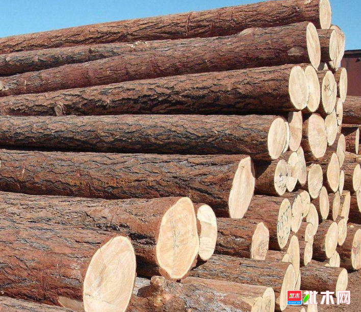 anywood.com
