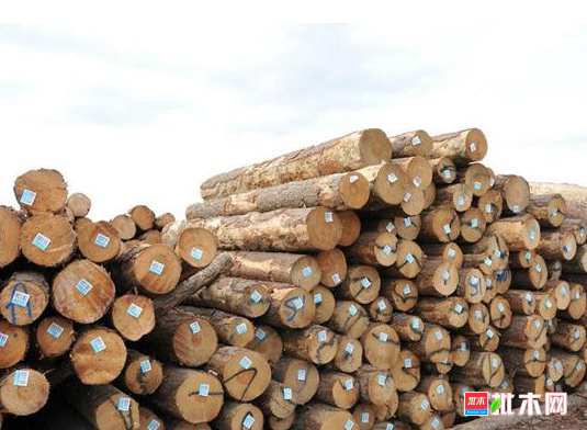 anywood.com