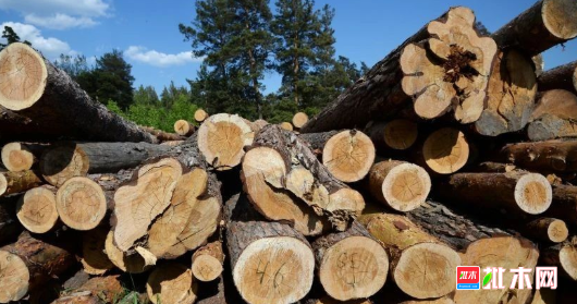 anywood.com