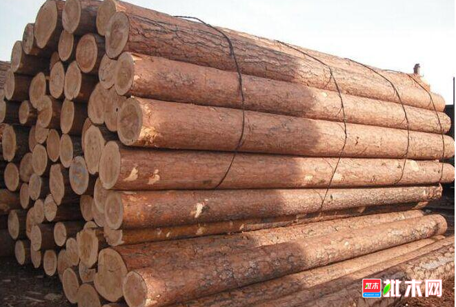 anywood.com