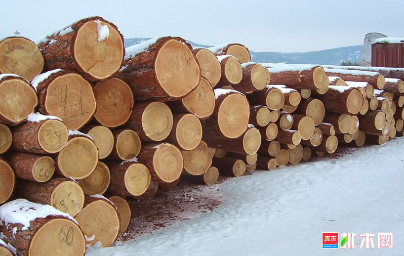 anywood.com