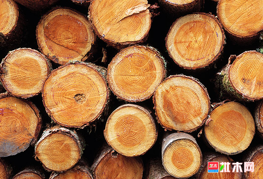 anywood.com