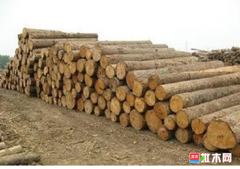 anywood.com