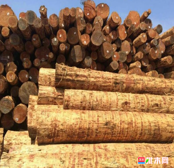 anywood.com