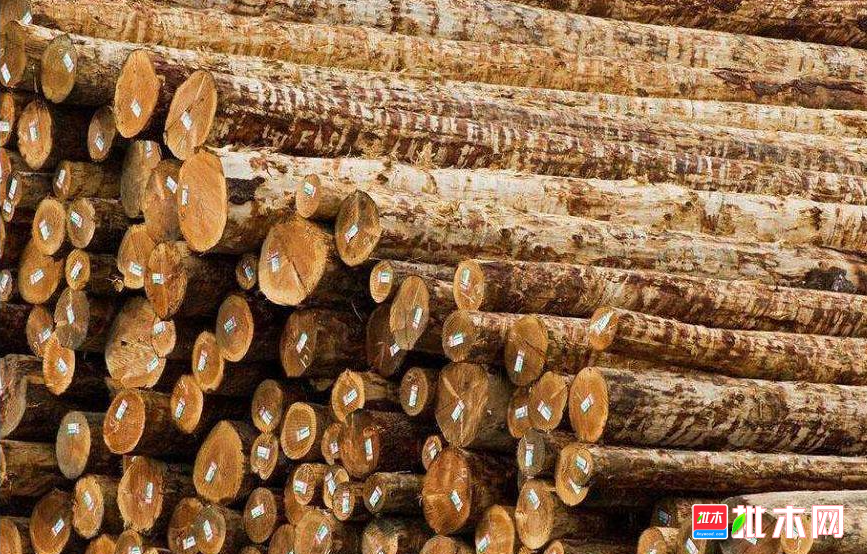 anywood.com