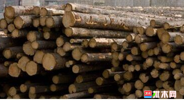 anywood.com