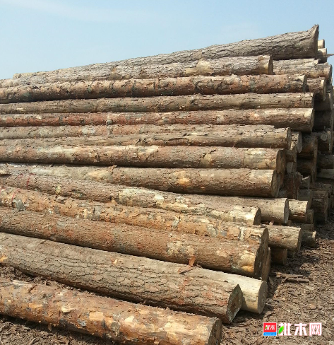 anywood.com