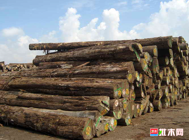 anywood.com