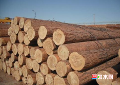 anywood.com
