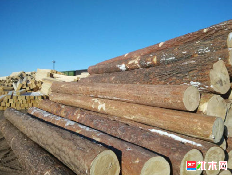 anywood.com