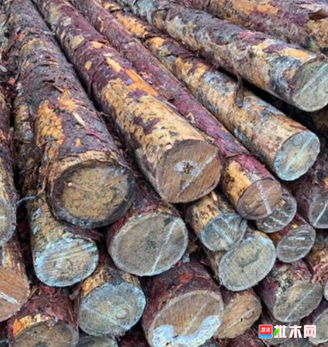 anywood.com
