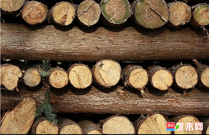 anywood.com