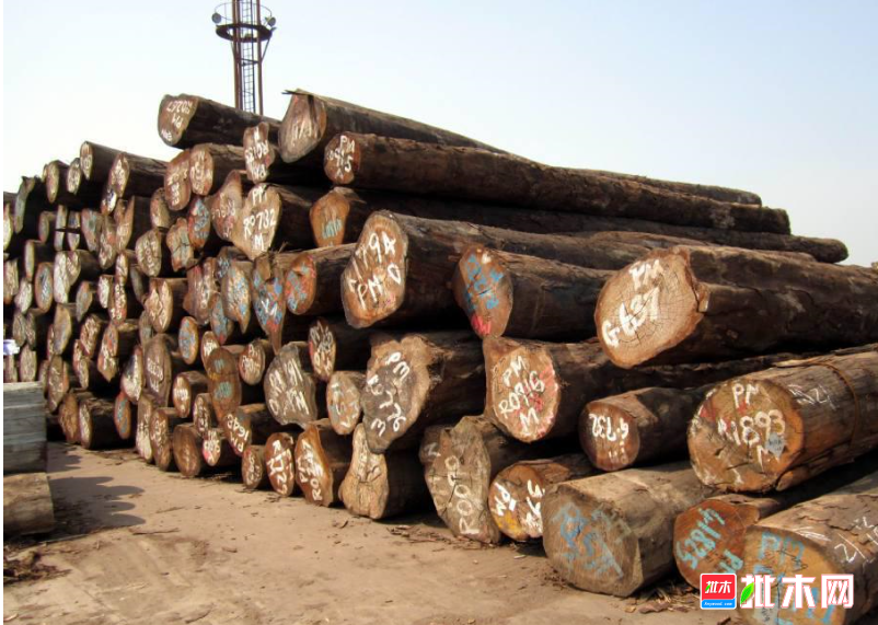 anywood.com