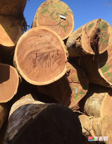 anywood.com