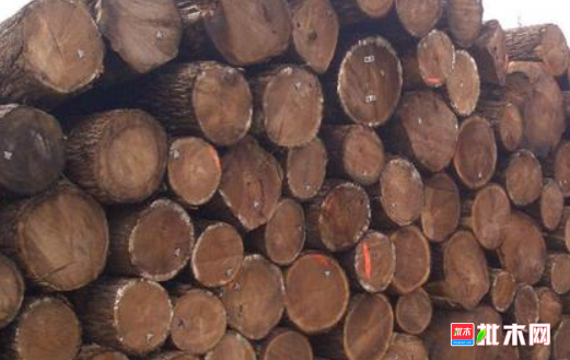 anywood.com