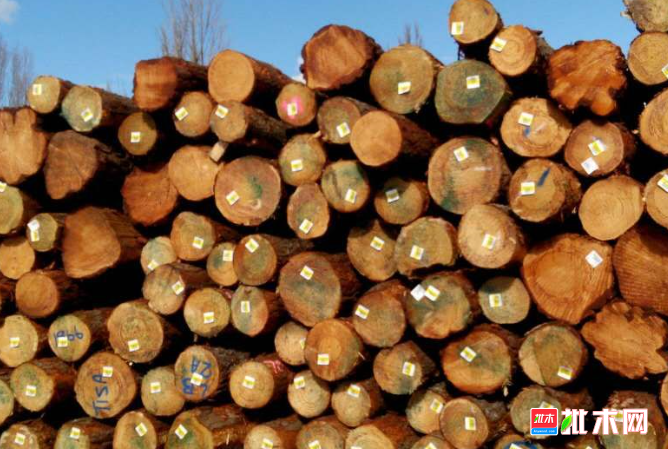 anywood.com