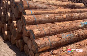 anywood.com