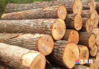 anywood.com