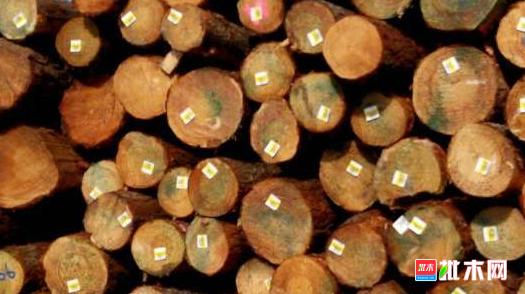 anywood.com