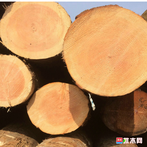 anywood.com