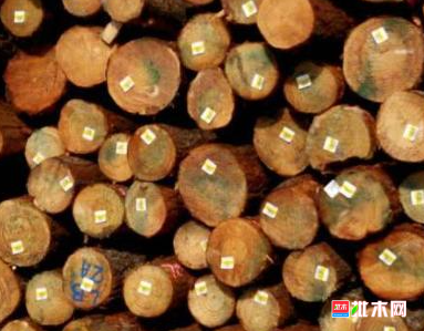 anywood.com