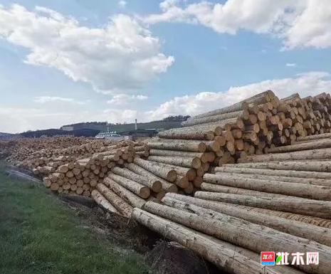 anywood.com