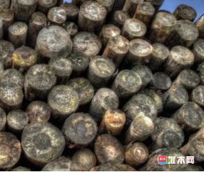 anywood.com