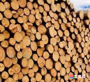 anywood.com