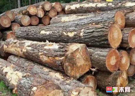 anywood.com