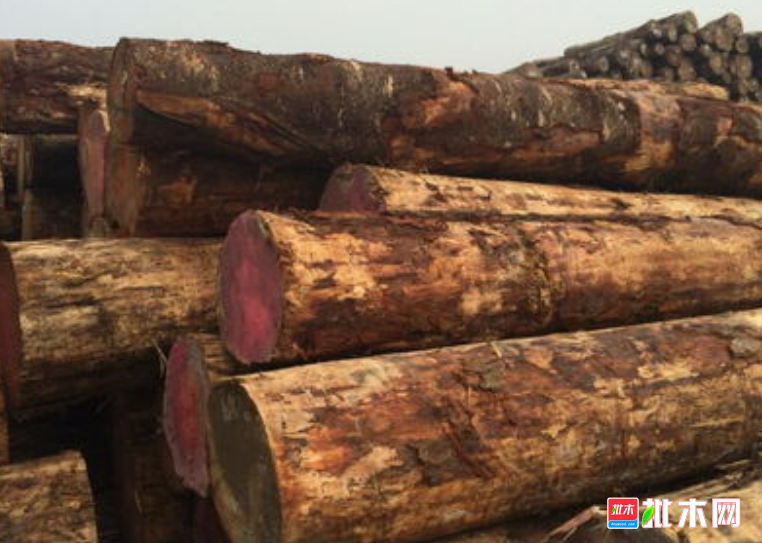 anywood.com