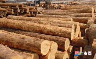 anywood.com